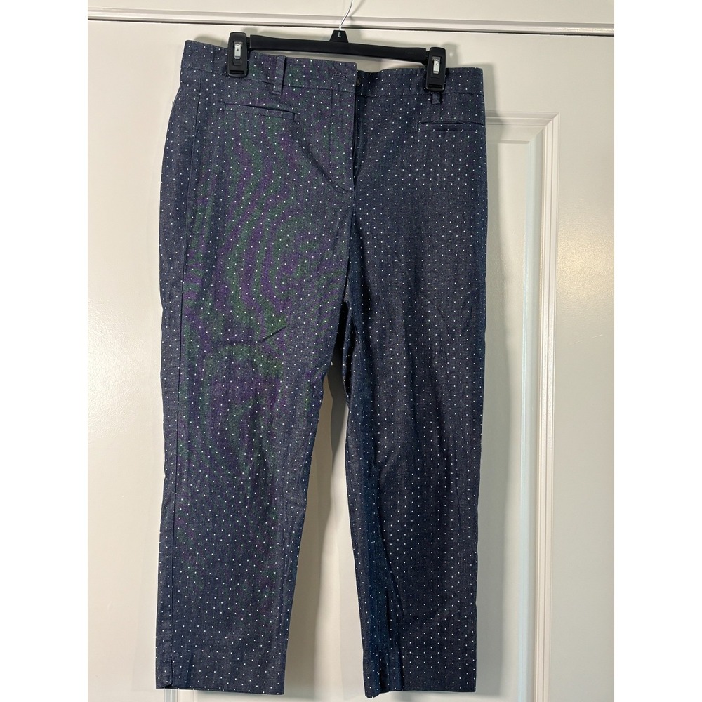 Ann Taylor Ankle Pants Women 10 Blue Polka Dot Straight Leg Casual Everyday Wear